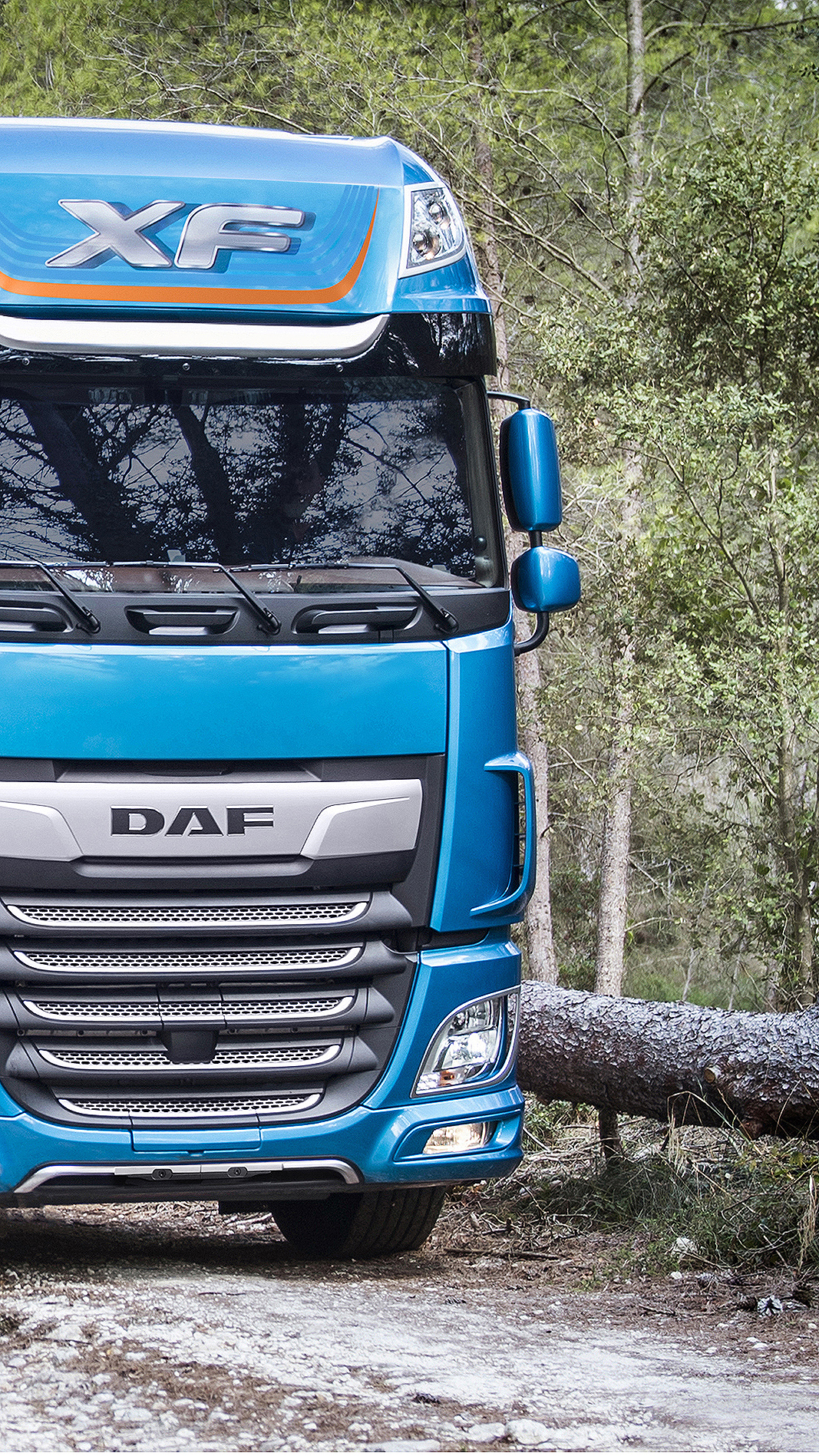 DAF-XF-530-FAT-6x4-2018098-1080