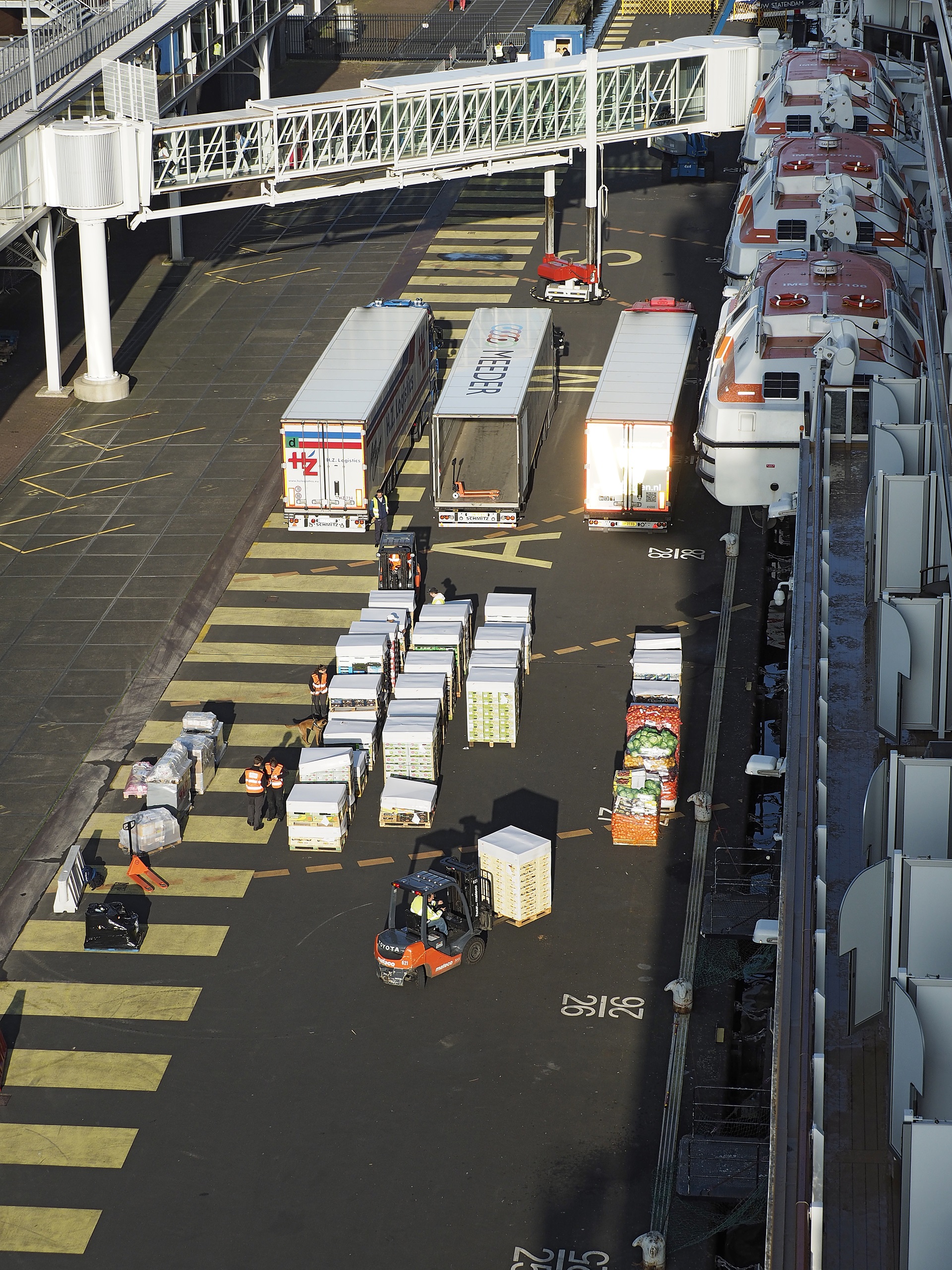 Supplying-CruiseShips-HZ-BRO_0070sa