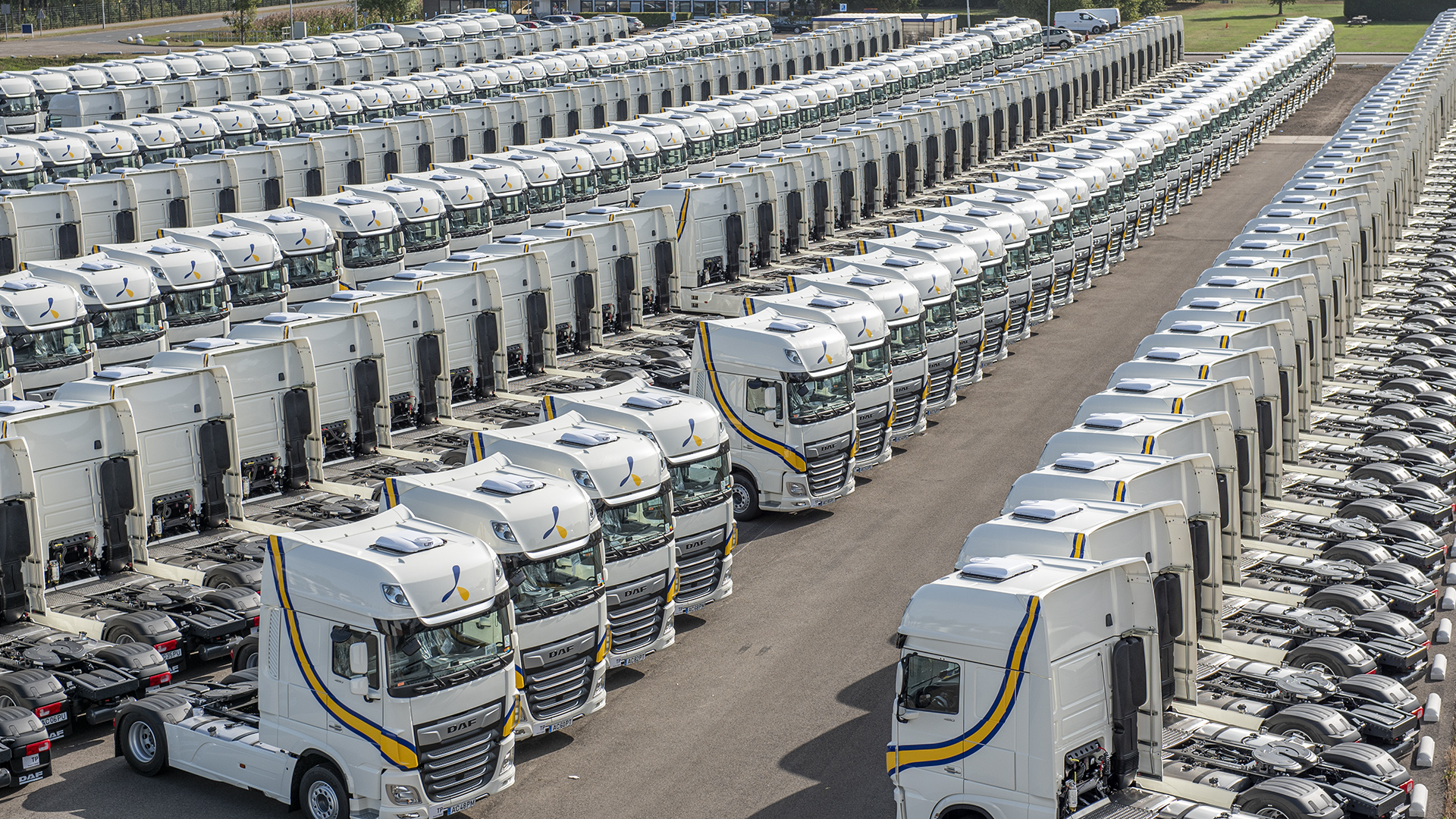 1300 camiones DAF XF 480 Super Space para el Grupo Primafrio 4 02 1 300 daf xf 480 super space cabs for primafrio group